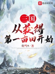 三国之从偷袭州开始